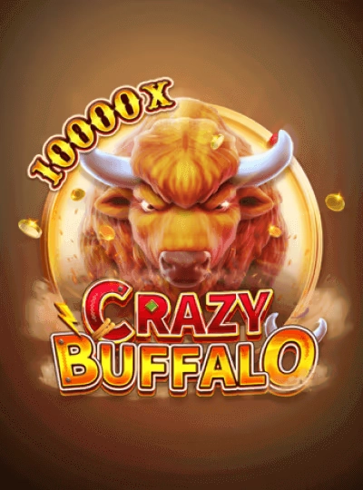 T20 international cricket betting game cover